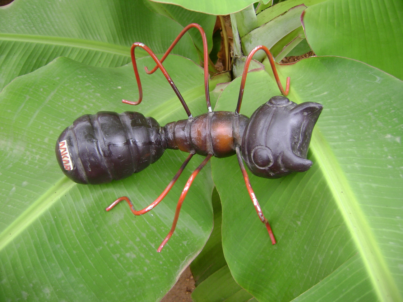 Gift-Size Models